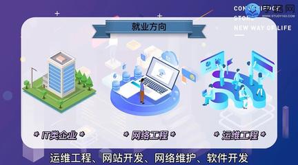 網(wǎng)絡(luò)工程專業(yè) 深入解析計算機軟件開發(fā)與運維服務(wù)