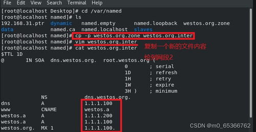 企業(yè)域名解析服務(wù)的部署及安全優(yōu)化實踐